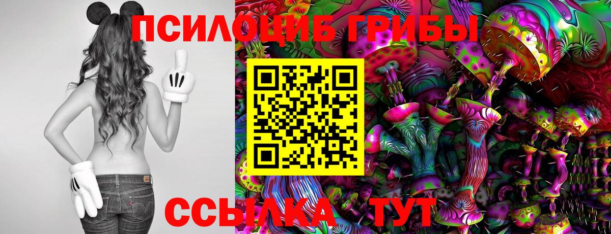 Псилоцибиновые грибы Psilocybe  Галлюциногенные грибы прущие грибы  Грозный  Вход с VPN 