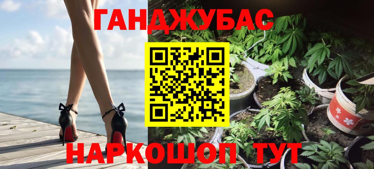 Канабис конопля Грозный